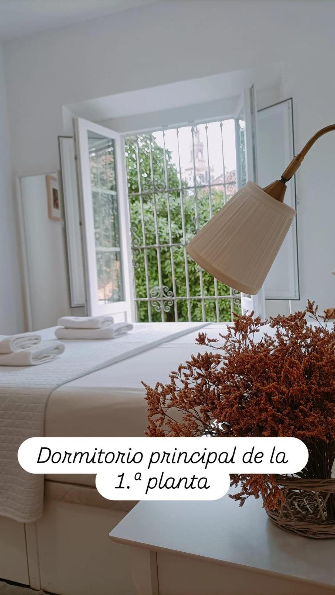 Apartamentos En La Plaza Dona Elvira, 7 Sevilla Exteriér fotografie